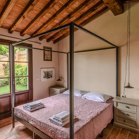 Amis Castelnuovo D'elsa